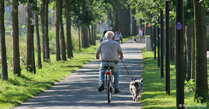 cycliste