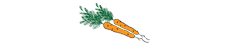 Carottes