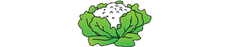 Choux