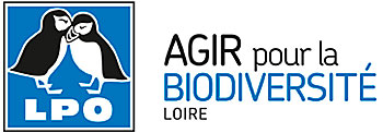 logo LPO