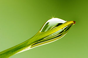 Quiz sur l'eau